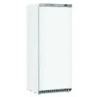 Tiefkühlschrank - Mod CN 6 - Statische Kühlung - 1 Tür - Kapazität 600 Liter - Temperatur -18º/-23ºC - Abmessungen cm B 77,5 x T 72,9 x H 190