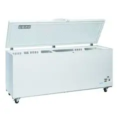 TIEFKÜHLTRUHE - Mod CF 708 - KAPAZITÄT 700 L - STATISCHE KÜHLUNG - TEMPERATUR -15°/-25°C - PRODUKTMAßE (BxTxH) cm 205,5 x 70 x 90,5 - CE-Norm