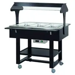 HEISSWASSERBAD-WAGEN - MOD. CL2774 - Schichtholzstruktur aus Birke - Temperatur +30°/+90°C - Plexiglas-Kuppel - Kapazität N° 3 GN 1/1 H 15 cm - Stromversorgung 230V/1/50Hz - Produktmaße (BxTxH) cm 111 x 112 x 141