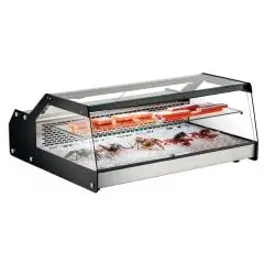 FISHOW100_CON_PESCE
