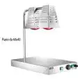 WÄRMEBRüCKE MIT INFRAROTLAMPE - MOD. PCI4717 - Edelstahlstruktur - 2 Infrarotlampen - einstellbarer Thermostat 30°/90°C - Leistung:  W 250+250+250 - Stromversorgung V230 50/60 Hz - Abmessungen in cm (B x T x H): 60 x 40 x 68