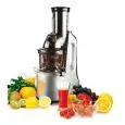 Entsafter für Obst und Gemüse (Slow Juicer) - MOD. ET2102 - der Saft wird langsam aus der Rohkost gepresst - schonendes Entsaften: 60 U/Min. - Leistung: 240 W - Produktmaße (B x T x H):  21 x 25 x 49 - CE Kennzeichnung