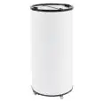 KÜHLVITRINE FÜR GETRÄNKE - Mod DN65H - Fassungsvermögen 65 Liter - Statische Kühlung - Einphasige Stromversorgung - Leistung 100 Watt - Produktmaße (BxH) cm ø 44,5 x 96,5 - CE-Norm