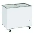 KÜHLVITRINE - Mod CFG 308 - STATISCH - MANUELLE ABTAUUNG - KAPAZITÄT 300 L - TEMPERATUR -12°/-22°C - PRODUKTMAMAßE (BxTxH) cm 101,5 x 63,5 x 89 - CE-Norm