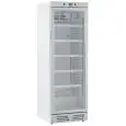 Tiefkühlschrank - Stahl - FÜR GETRÄNKE - STATISCH MIT RÜHRWERK - Mod. GXI390XI - KAPAZITÄT Lt 390 - N. 1 GLASTÜR - TEMPERATUR 0/+10°C - Maße cm L 59,5 x T 65,5 x H 183 - EG-Typgenehmigung