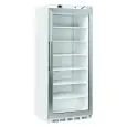 Gefriertruhe Aussteller mit kapazität Lt 600 und temperaturen von -15 bis -20 °C Cool Head QNG 600